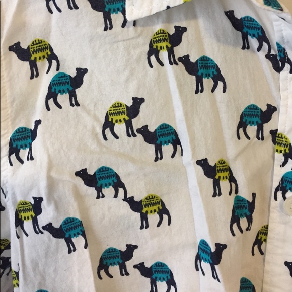 Button down - Picture 2 of 2